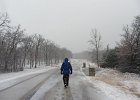 Going out for a walk...