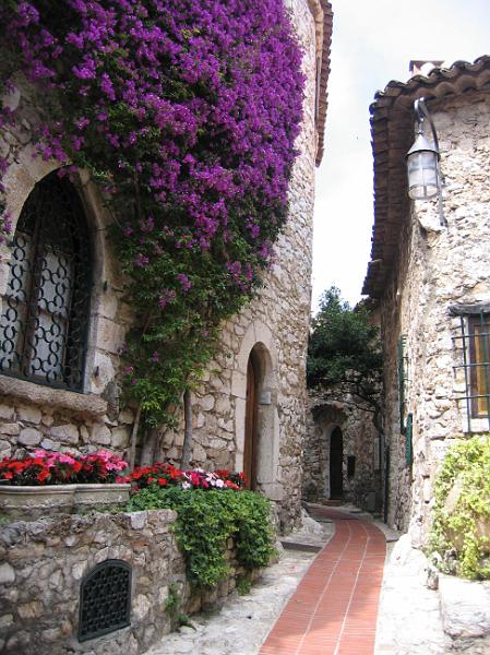 IMG_7909.JPG - Beautiful bougainvilleas in Eze