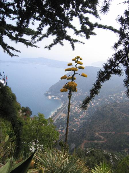 IMG_7927.JPG - View from the exotic garden - Eze