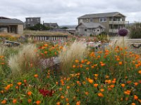 Bandon bay landscaping